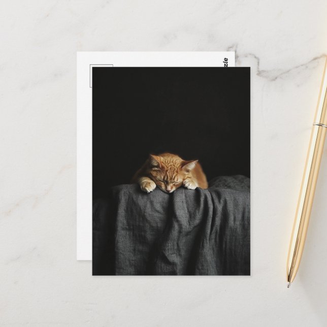 Carte Postale Un mignon chat roux endormi sur fond noir (Devant/Arrière en situation)