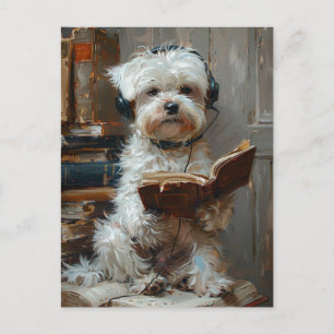 Carte Postale Un mignon chien blanc lisant un livre