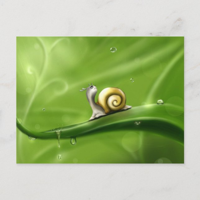 Carte Postale Un mignon escargot dans la pluie (Devant)