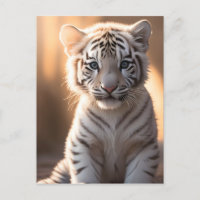 Un mignon petit tigre blanc