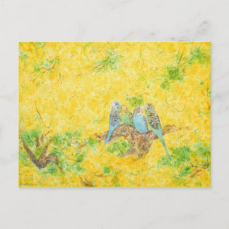 Carte Postale Un monde magnifique