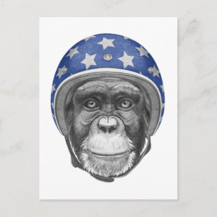 Carte Postale Un motocycliste Chimpanzé