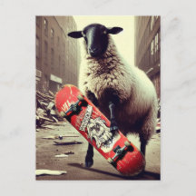Un mouton en skateboard
