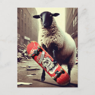Carte Postale Un mouton en skateboard
