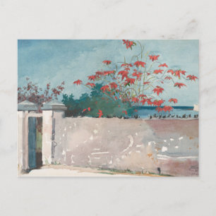 Carte Postale Un mur, Nassau par Winslow Homer