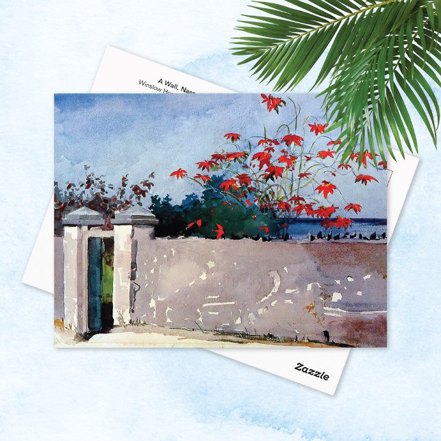 Carte Postale Un mur Nassau Winslow Homer (Créateur téléchargé)