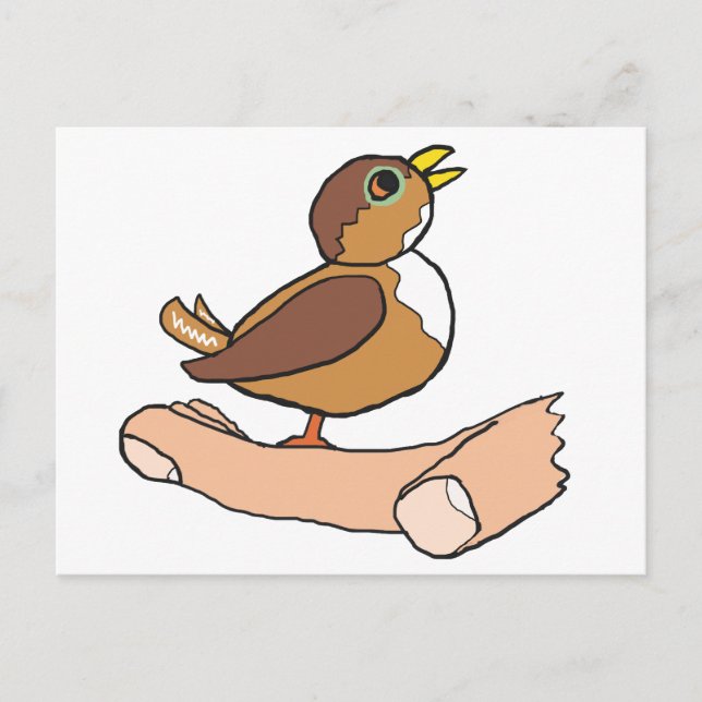 Carte Postale Un Oiseau Dans La Main (Devant)