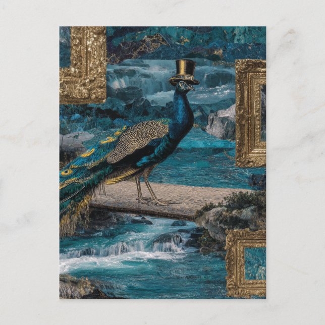 Carte Postale Un paon dans un chapeau supérieur (Devant)