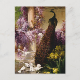 Carte Postale Un paon et des colombes dans un jardin Imprimer