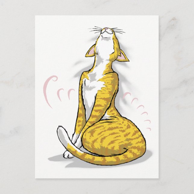 Carte Postale Un paquet de purr (Devant)
