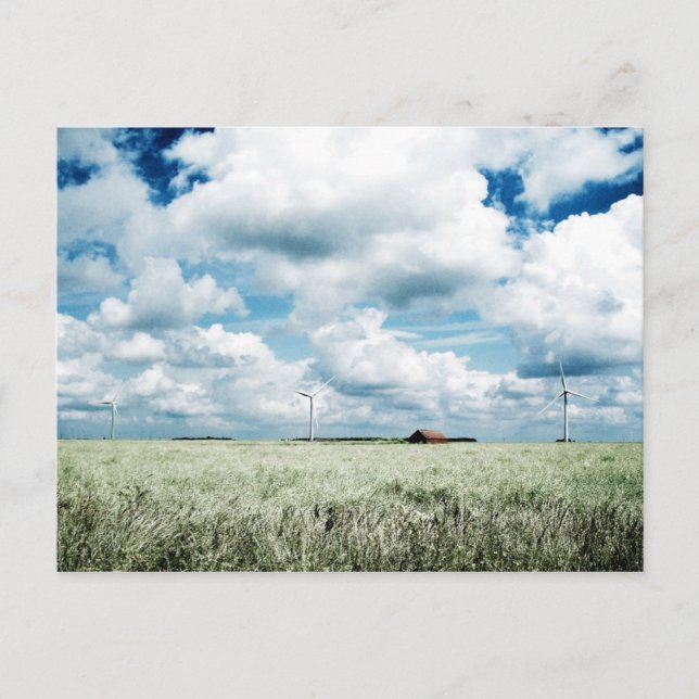 Carte Postale Un parc éolien (Devant)