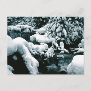 Carte Postale Un paysage hivernal à couper le souffle