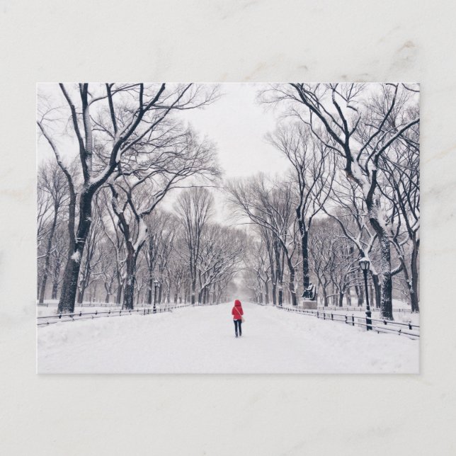 Carte Postale Un petit chaperon rouge moderne à Central Park (Devant)