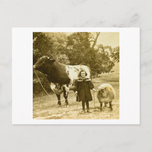 Carte Postale Un Petit Enfant Les Dirige