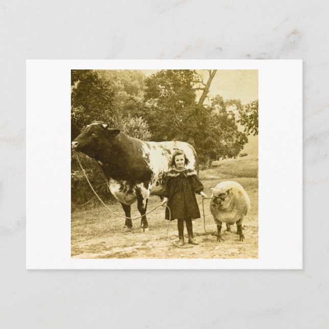 Carte Postale Un Petit Enfant Les Dirige (Devant)