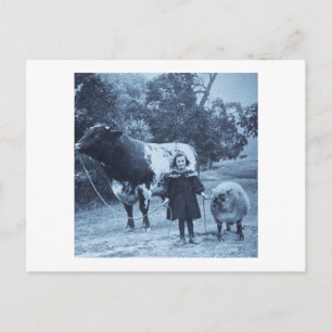 Carte Postale Un Petit Enfant Les Dirige Cyanotype - Vintage