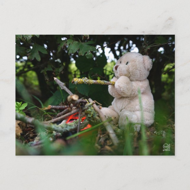 Carte Postale Un petit garçon qui est au feu de camp. (Devant)