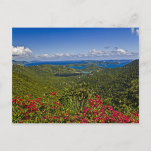 Carte Postale Un pittoresque de Cruse Bay, Vierge de St. John Ét
