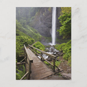Carte Postale Un Pont Au-Dessus De Columbia River Et De Latourel