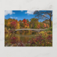 Un pont dans Central Park