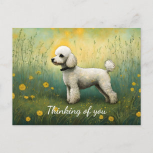 Carte Postale Un Poodle Adorable Dans L'Ombre Pensant De Vous