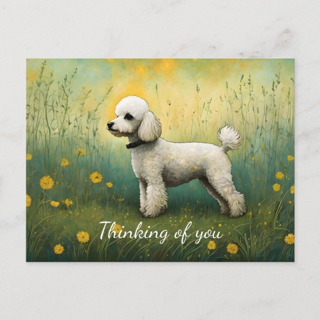 Carte Postale Un Poodle Adorable Dans L'Ombre Pensant De Vous (Devant)