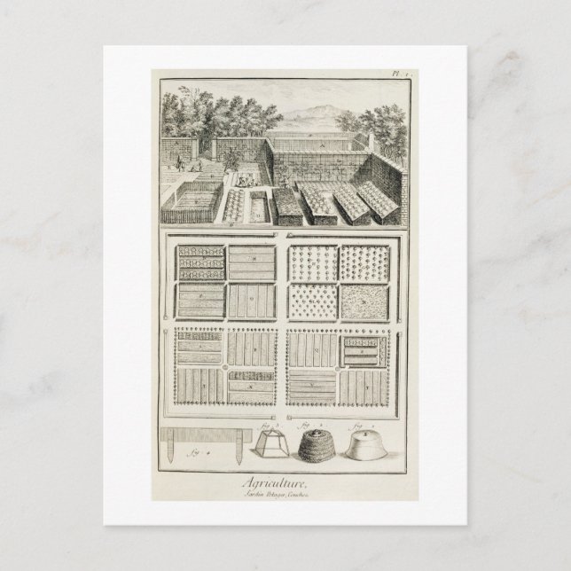 Carte Postale Un potager, de l'Encyclopédie des sciences (Devant)