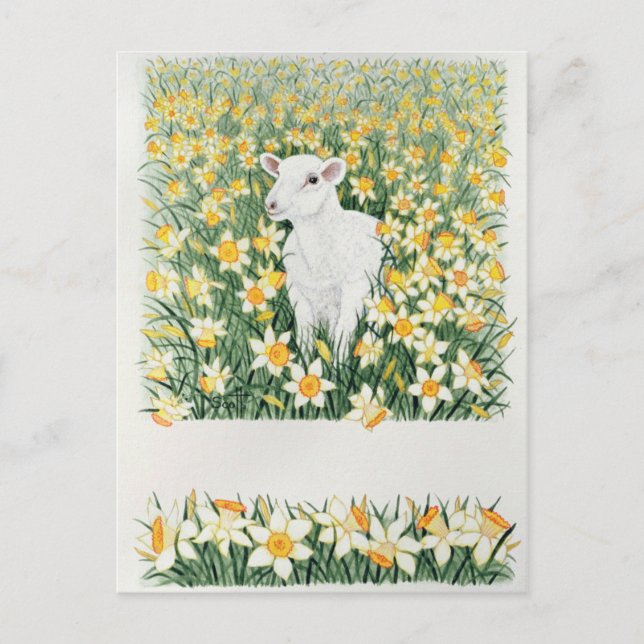 Carte Postale Un printemps à l'étape (Devant)