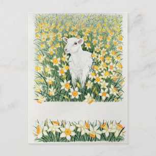 Carte Postale Un printemps à l'étape