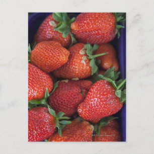 Carte Postale un punnet de fraises fraîches mûres à vendre en