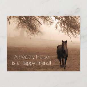 Carte Postale Un rappel de rendez-vous vétérinaire pour un cheva