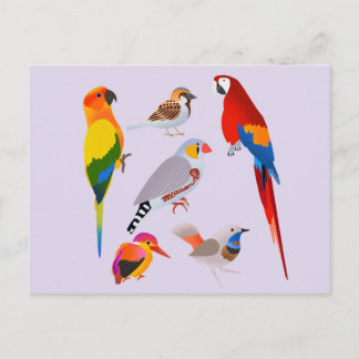 Carte Postale Un rassemblement d'oiseaux