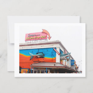 Carte Postale Un requin