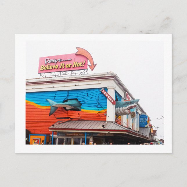 Carte Postale Un requin (Devant)