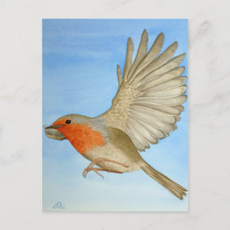 Carte Postale Un Robin en vol