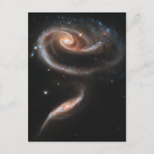 Carte Postale Un rose fait de galaxies