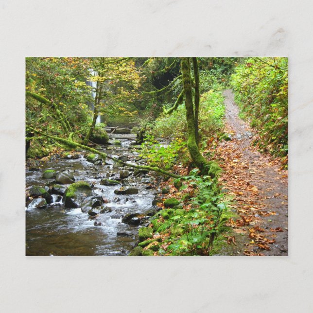 Carte Postale Un ruisseau Cool (Devant)