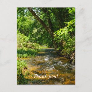 Carte Postale Un ruisseau de campagne