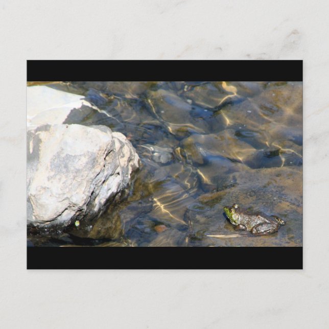 Carte Postale Un saut à la fois (Devant)