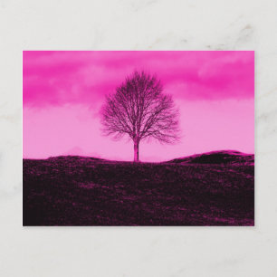 Carte Postale Un seul arbre Silhouette Paysage rose chaud