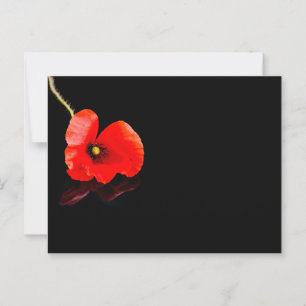 Carte Postale Un seul pavot rouge en noir