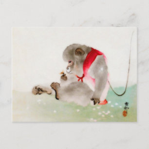 Carte Postale Un Singe Assis Observant Un Insecte