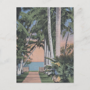 Carte Postale Un site de rêve en Floride