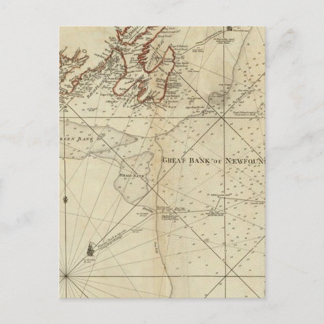 Carte Postale Un Tableau Des Banques De Terre-Neuve (Devant)