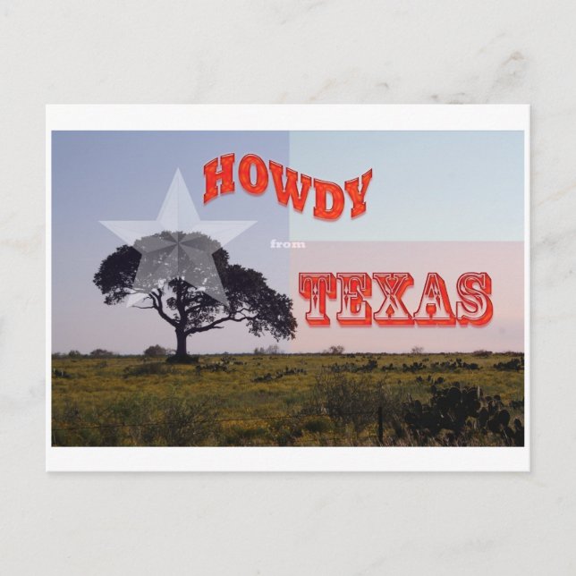 Carte Postale Un Texas Howdy ! (Devant)