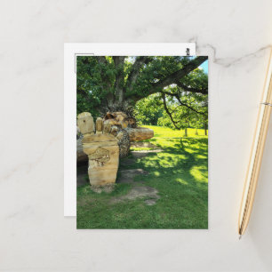Carte Postale Un troll dort sous un bel arbre