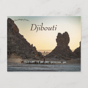 Carte Postale Un troupeau de chèvres au Lac Abbe Djibouti