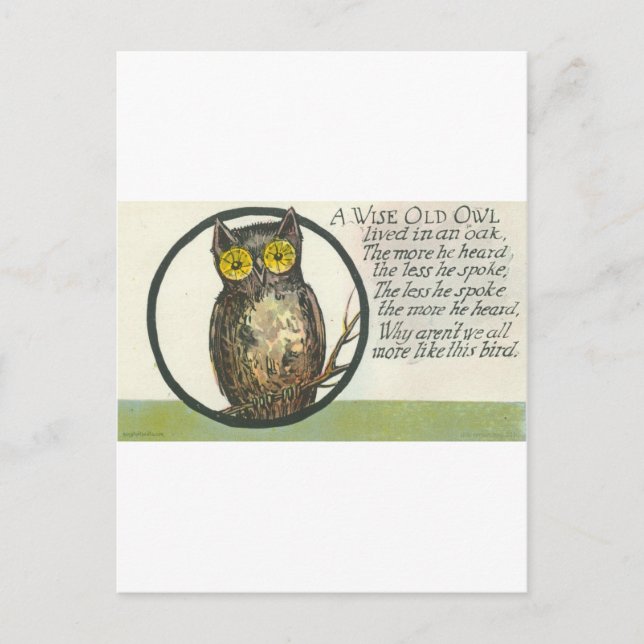 Carte Postale un vieux hibou sage (Devant)