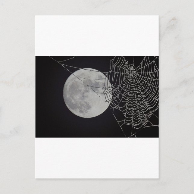 Carte Postale Un Web mondial (Devant)