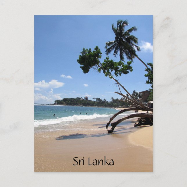 Carte Postale unawatuna plage sri lanka (Devant)